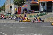 DSC_6936 copie